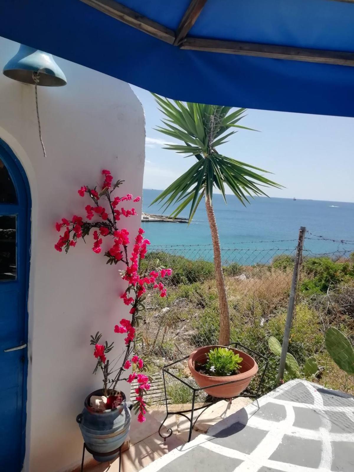 Kynosoura's Sea View Ambelakia