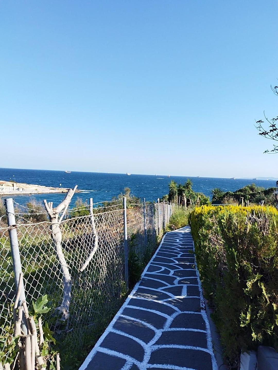 Kynosoura's Sea View * Ambelakia