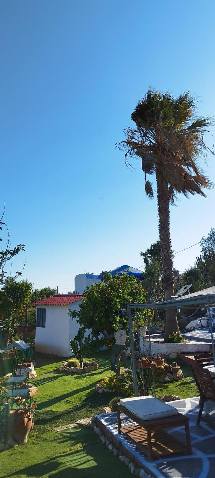 Kynosoura's Sea View Apartment *